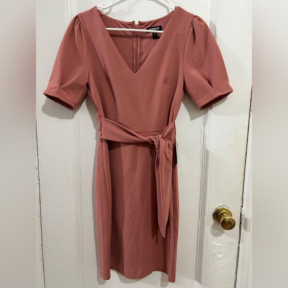 Brand New Dusty Pink Wrap Tie Dress